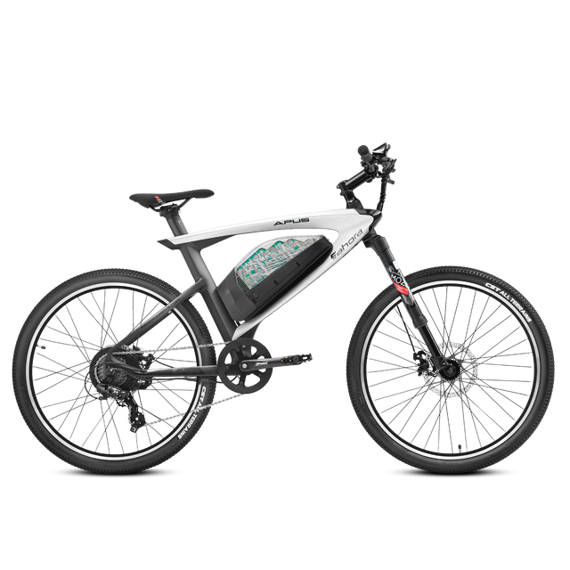 EAHORA APUS 2023 750W Carbon Fiber Road Electric Bike