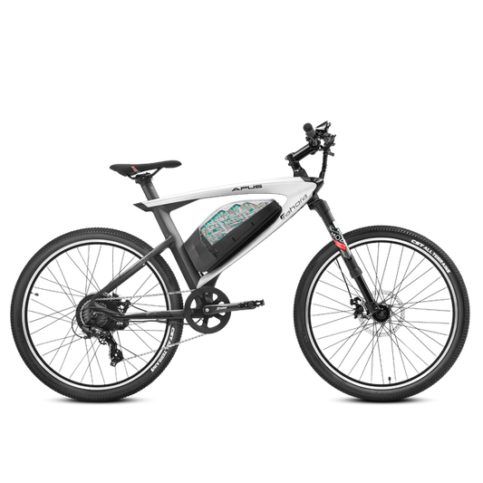 EAHORA | APUS 2023 750W Carbon Fiber Road Electric Bike