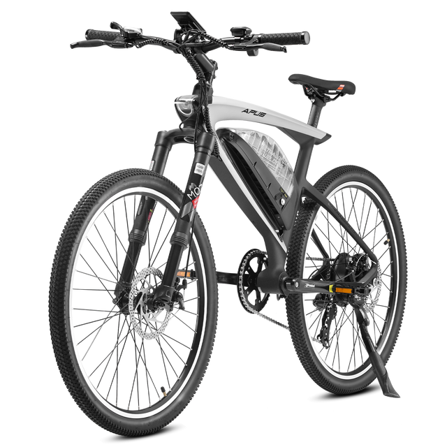 EAHORA APUS 2023 750W Carbon Fiber Road Electric Bike