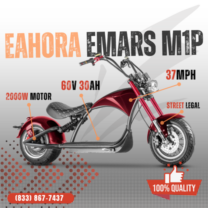 EAHORA | EMARS M1P 2000W Electric Chopper