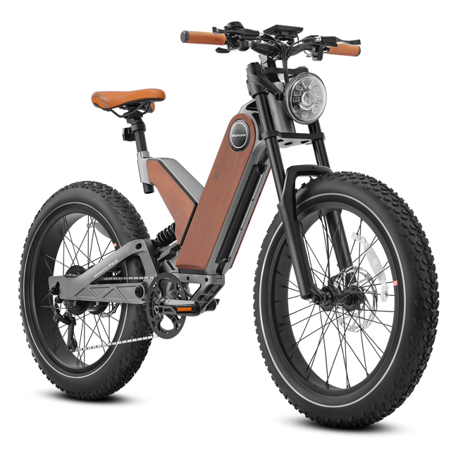 EAHORA | P5 750W Electric Bike