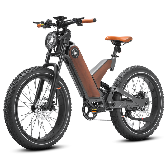 EAHORA | P5 PLUS Electric Bike with APP Control