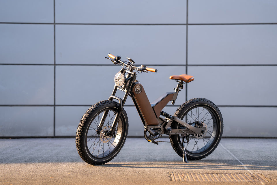 Eahora store electric bike