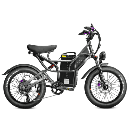 EAHORA | Cupid 1000W Electric Cargo Bike