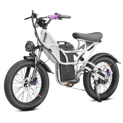 EAHORA | Cupid 1000W Electric Cargo Bike