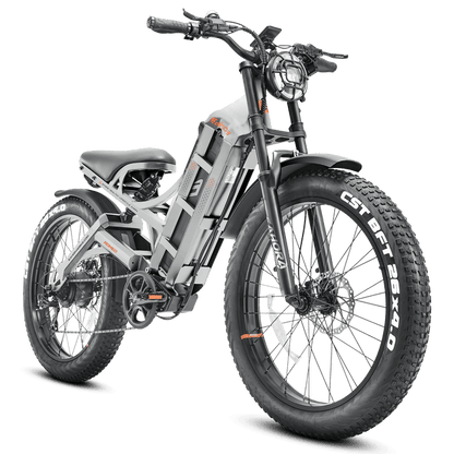 EAHORA Romeo Pro 1200W Long Range Electric Bike