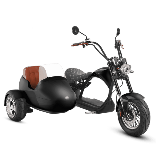 EAHORA | M1P Plus 3000W Scooter + Side Car