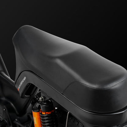 EAHORA | X9 Black 750W Moped Style Electric Bike