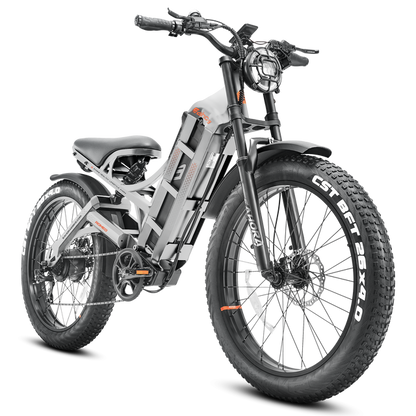 EAHORA Romeo 1000W Long Range Electric Bike