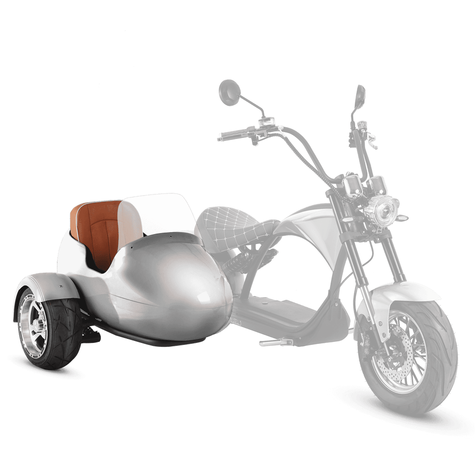 EAHORA Sidecar (For M1P and M1PS)