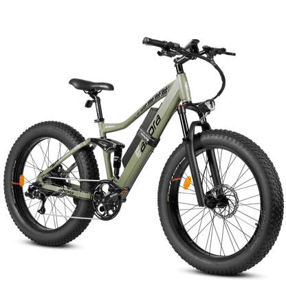 EAHORA AM200 SPECIAL 2023 Fat Tire Mountain Electric Bike