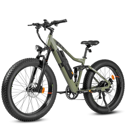 EAHORA AM200 SPECIAL 2023 Fat Tire Mountain Electric Bike